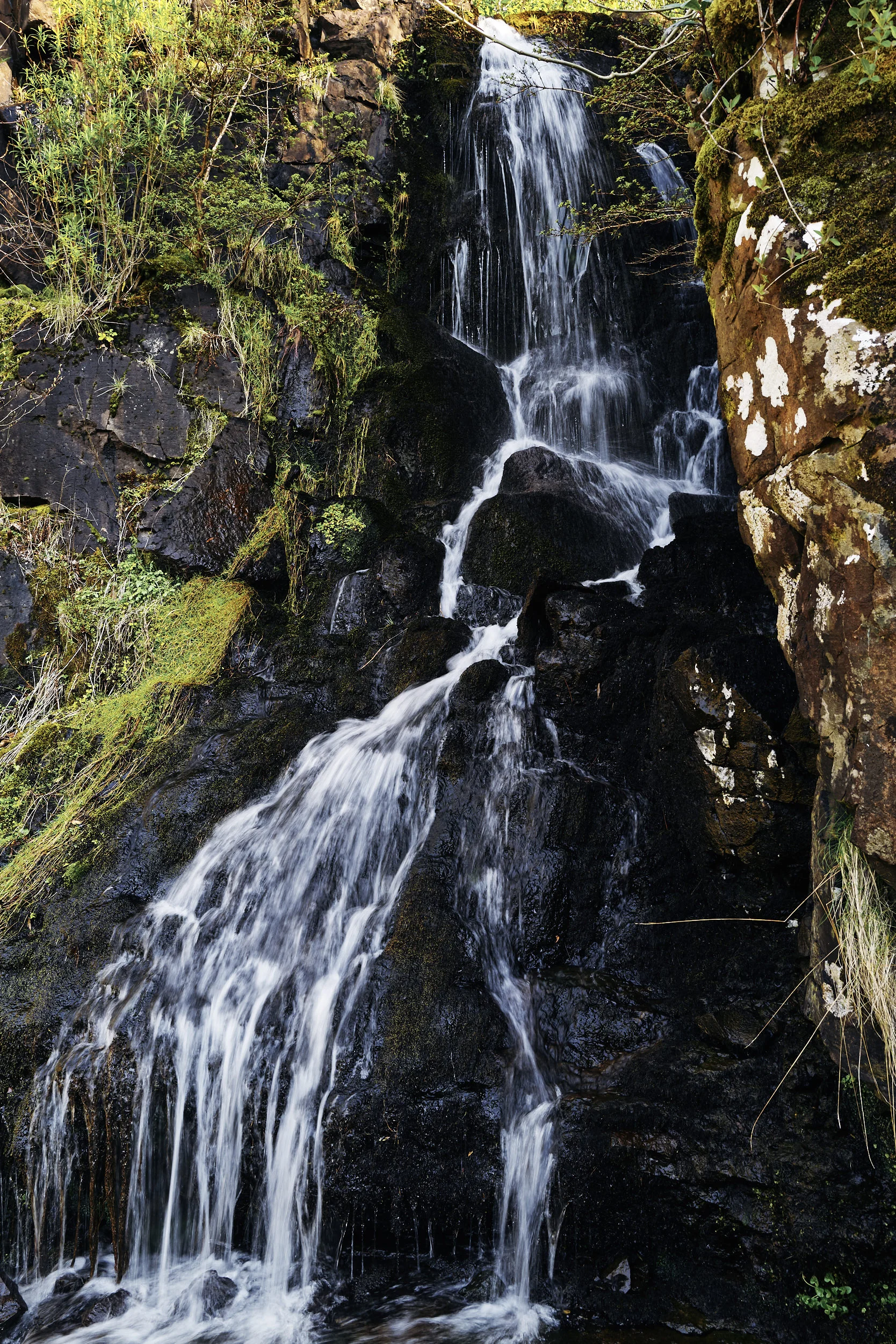 2019 04 14 - Scotland 2019 Q2 55.jpg