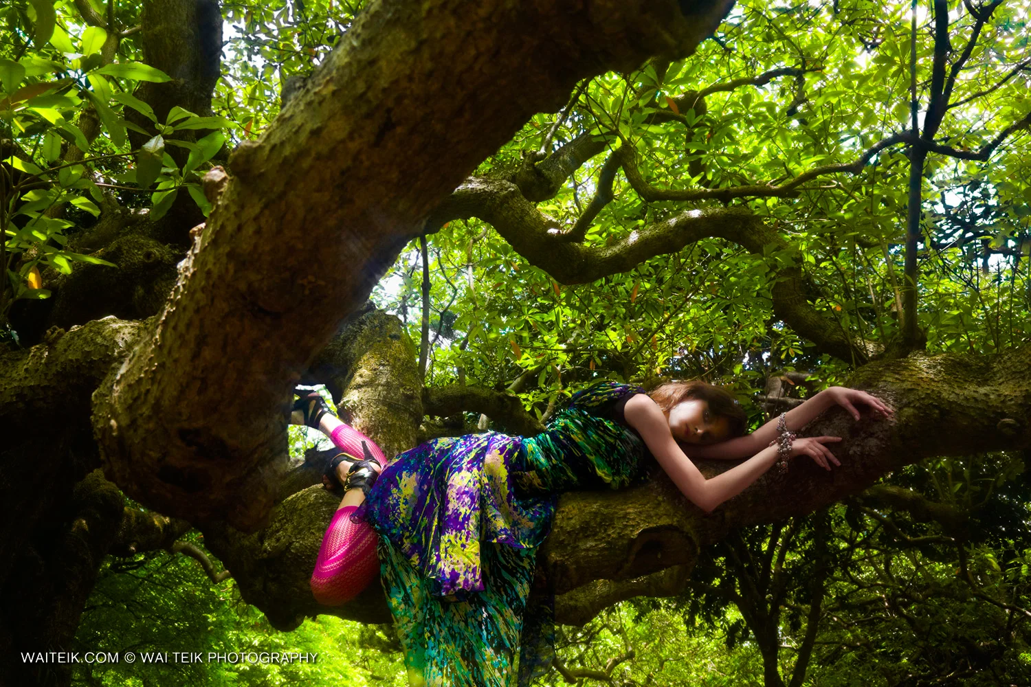 WaiTeik-Nesting-02.jpg