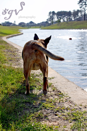 Lucy_pond_back_blog.jpg