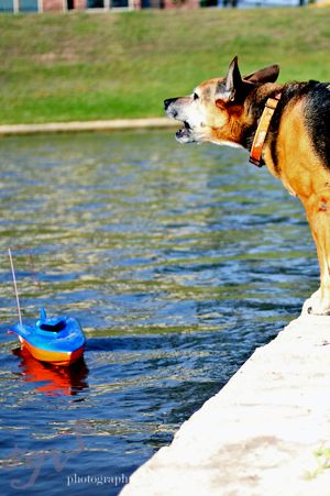 lucy_bateau_blog.jpg