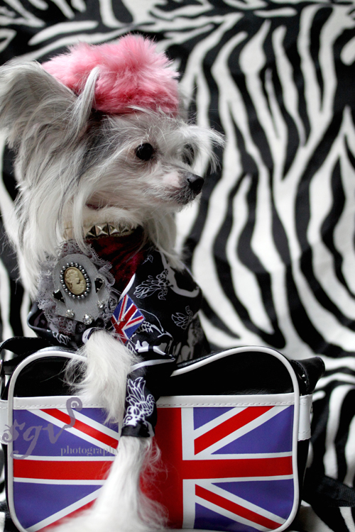 molly_pret-a-promener_blog.jpg