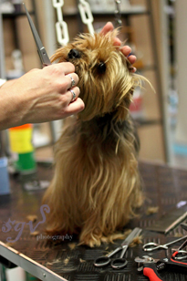 expo_grooming3_web.jpg