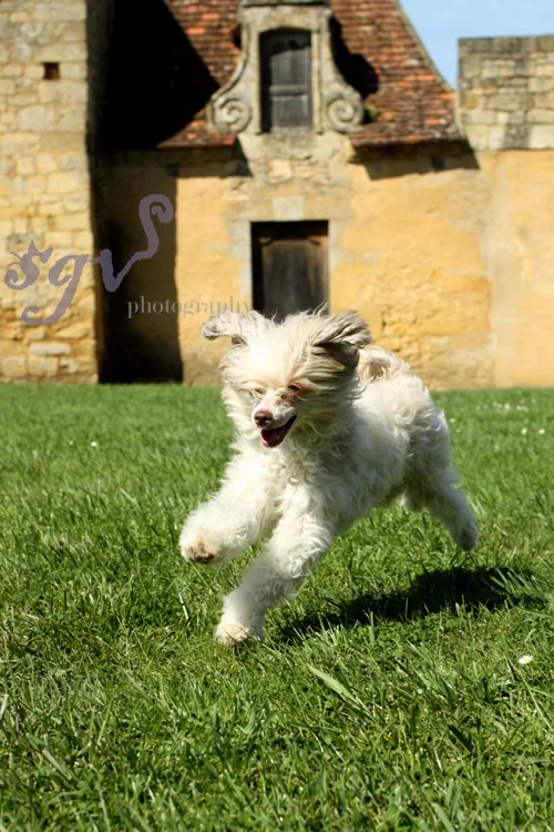zoe_chateau2_web.jpg