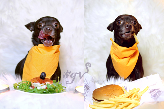 sgv_gastro-vs-fast-food_web.jpg