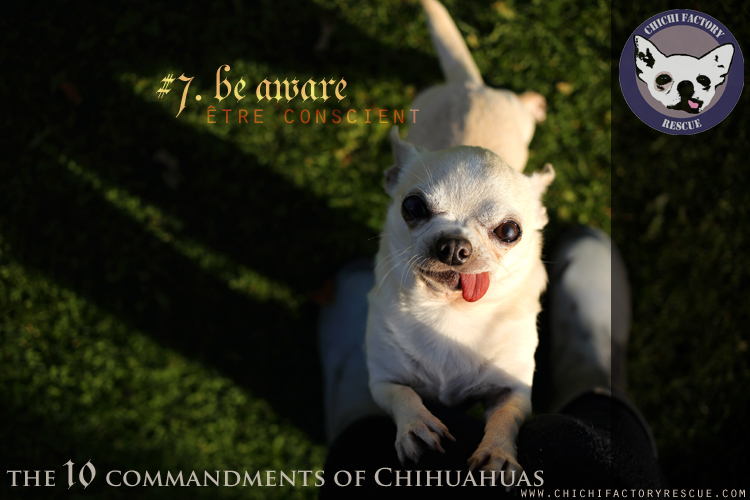 10_commandments_7.jpg
