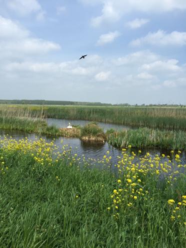 buiten_vivere_natuur.jpg