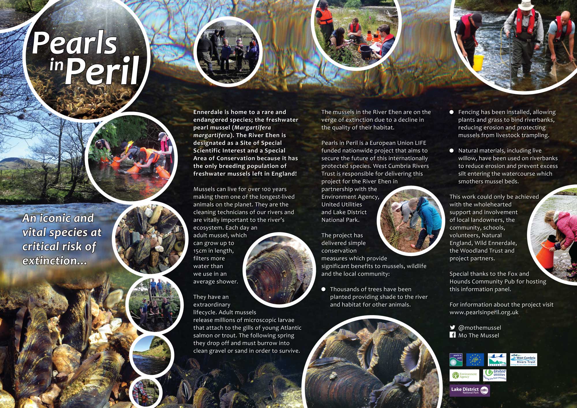The Pearls in Peril panel now on display at Ennerdale Bridge.