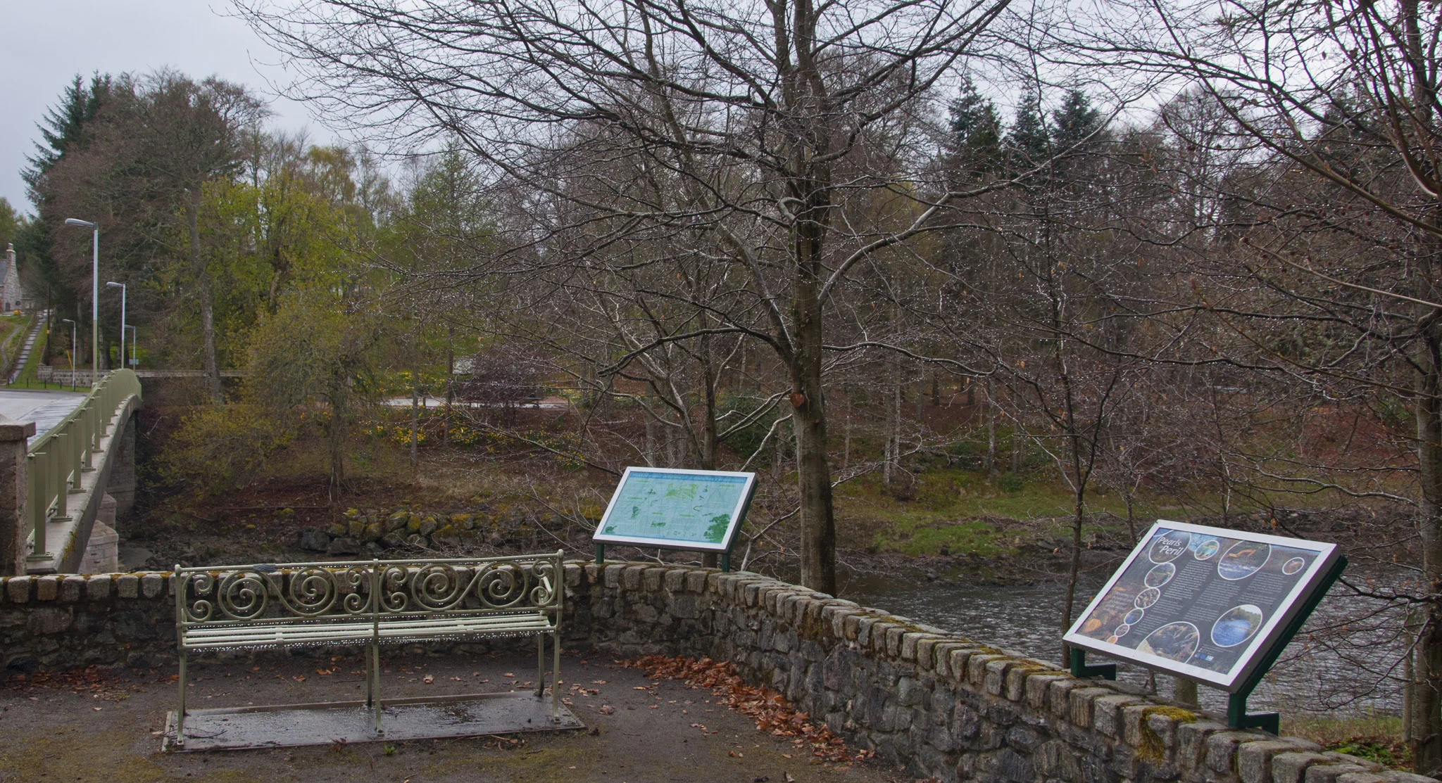 DSC_0127.jpg