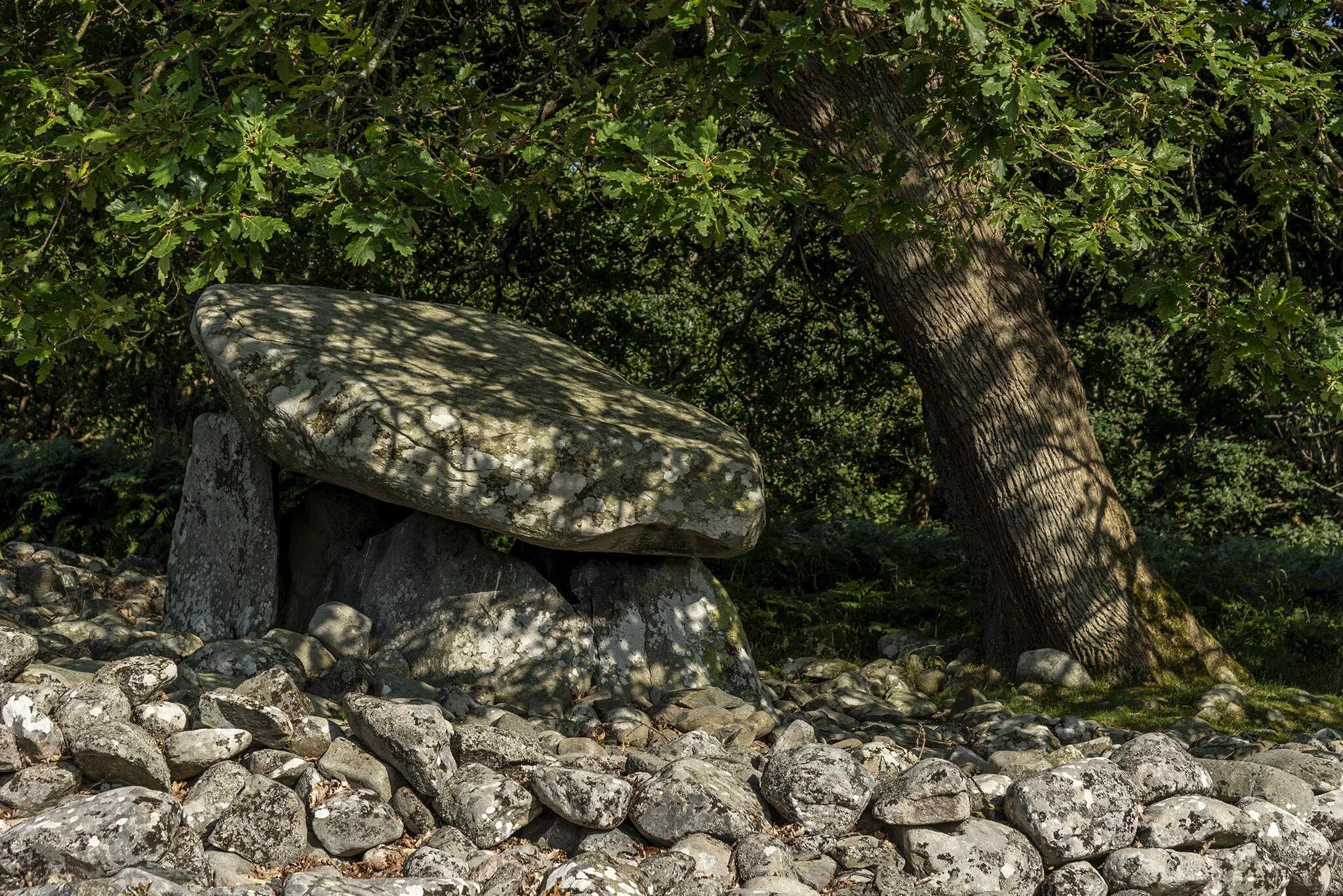 Heatwave at Dyffryn Ardudwy megalithic chambers