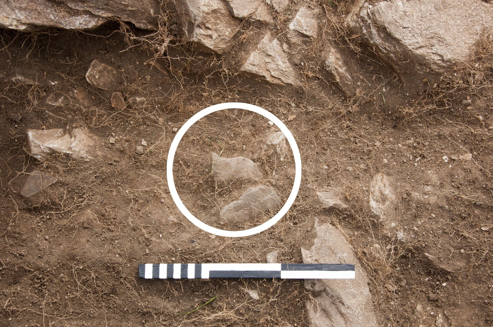 Excavating rock art in Strath Tay day 3: An unexpected find