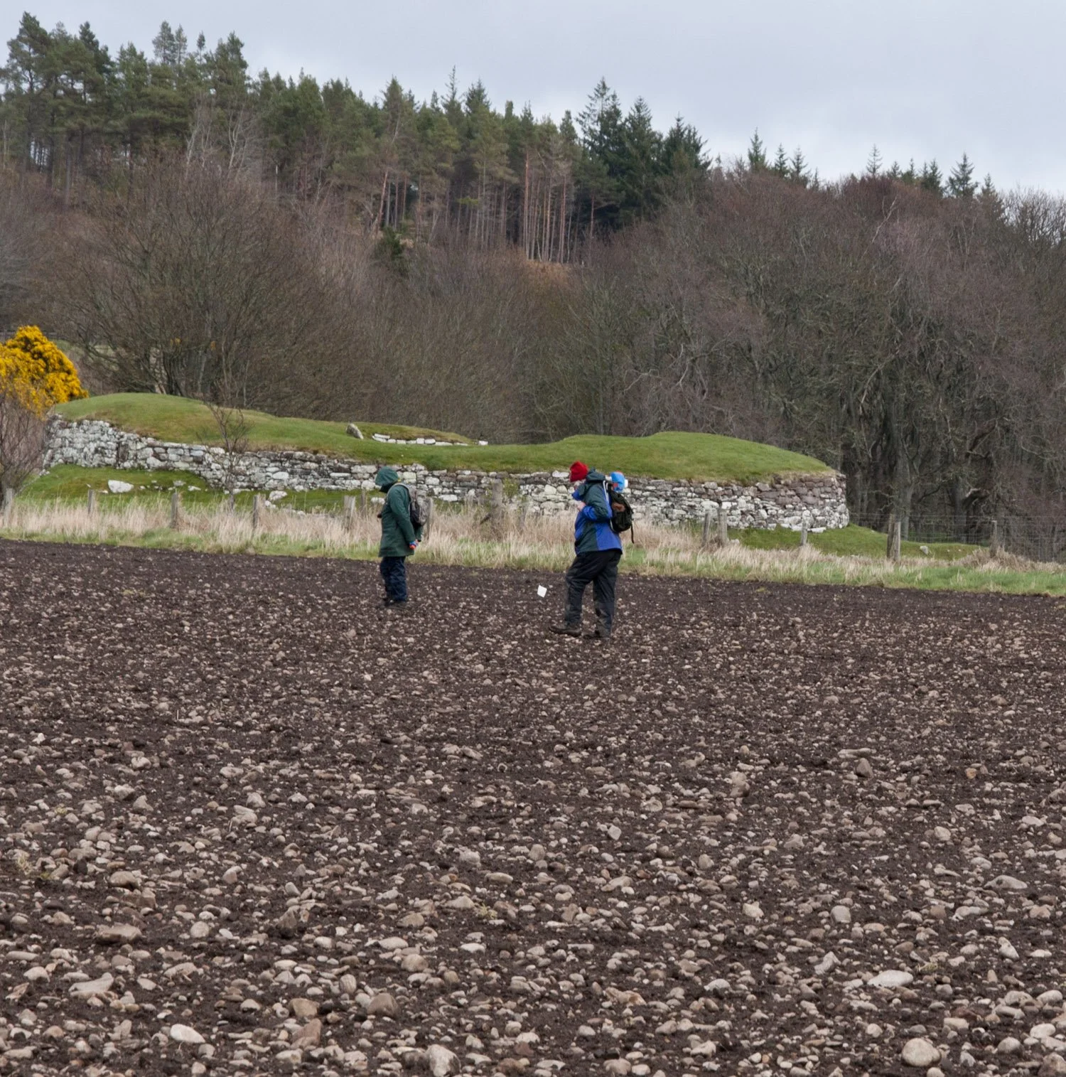 Fieldwalking in Sutherland Day 8: Walking adjacent to Càrn Liath broch