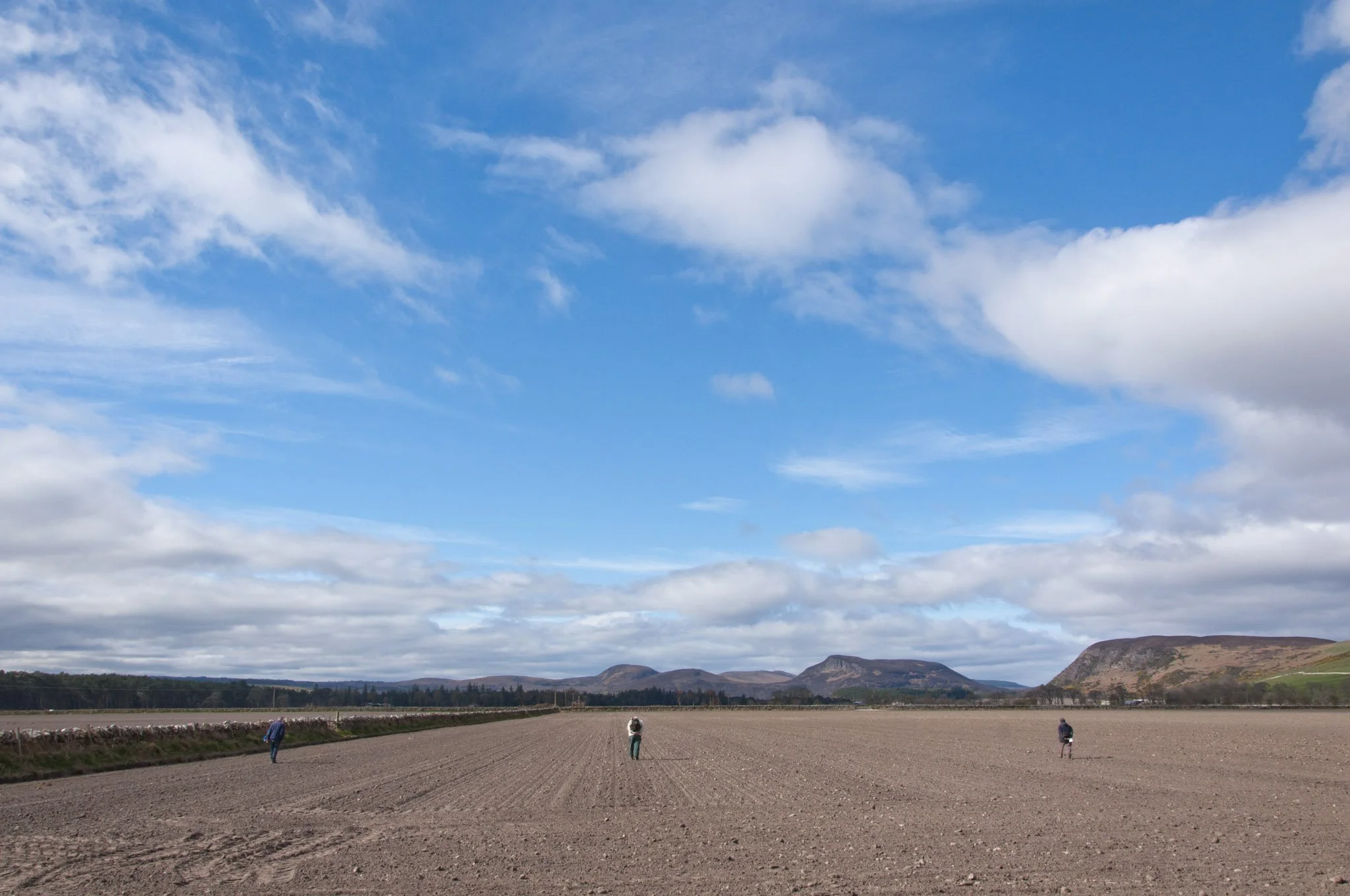 Fieldwalking in Sutherland Day 2: The fields continue...