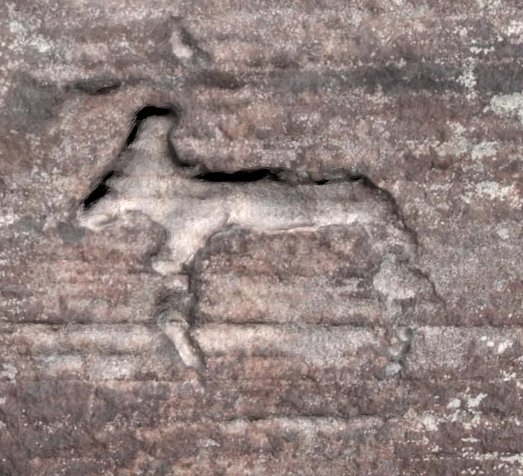 Photogrammetry at Goatscrag Hill, Northumberland