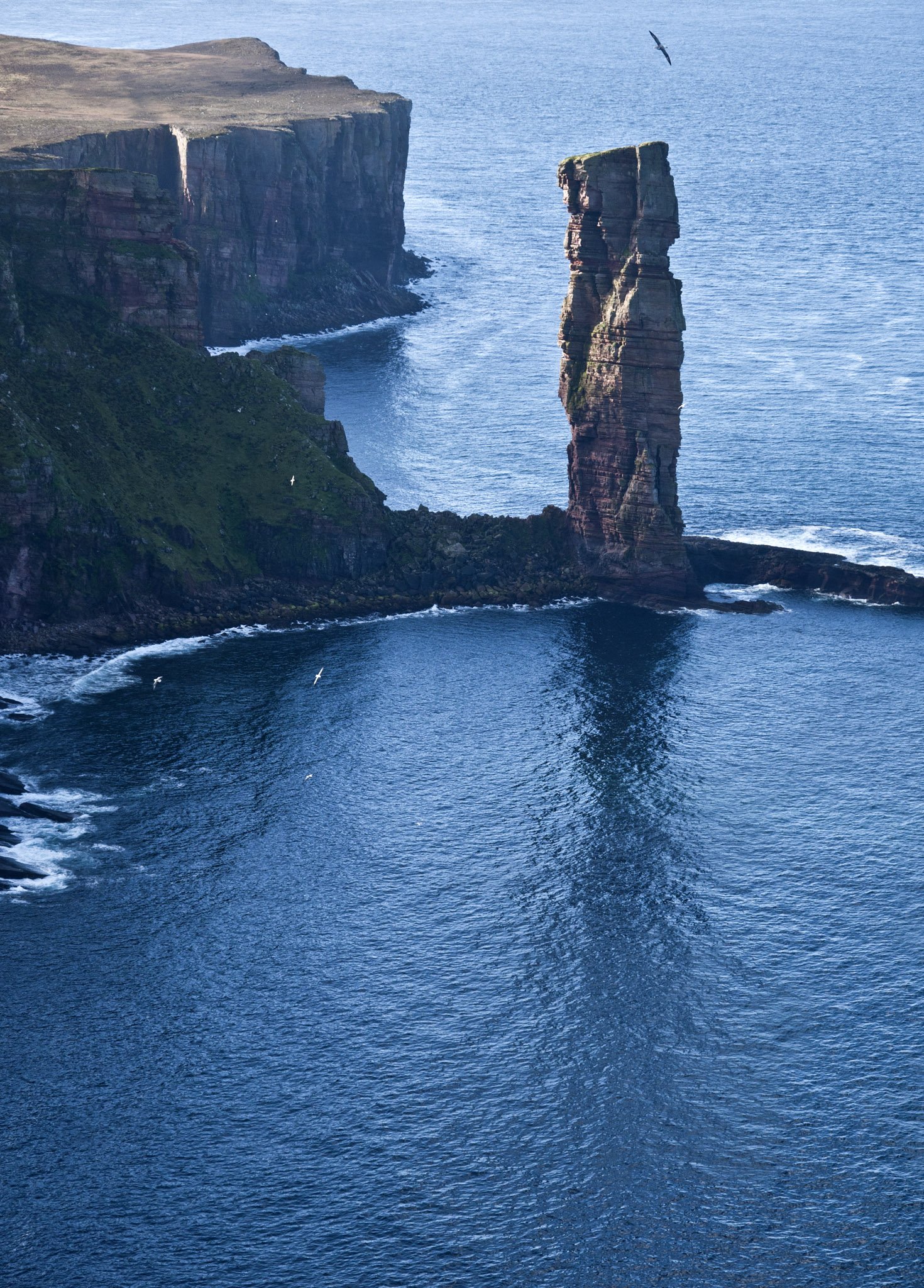 Archaeo-optics in Orkney Day 5: The hills of Hoy