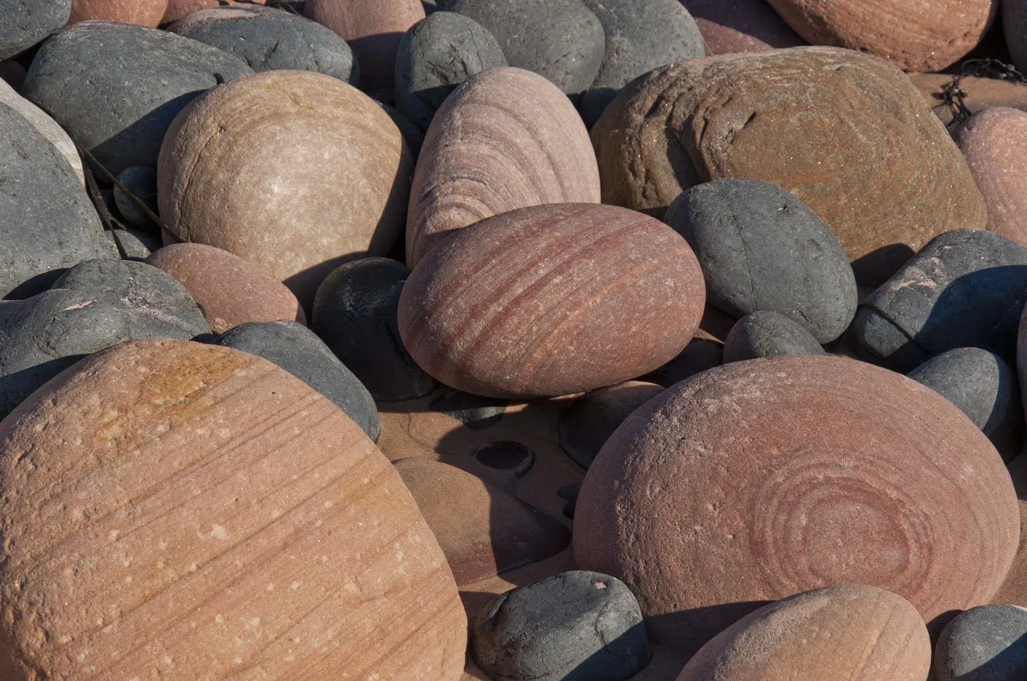 Archaeo-optics in Orkney Day 3: On the beach at Rackwick