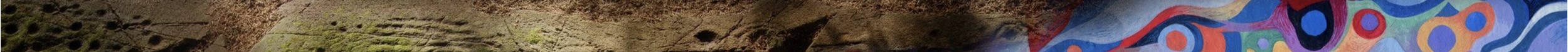 Close-up of a colorful, abstract mural or artwork.