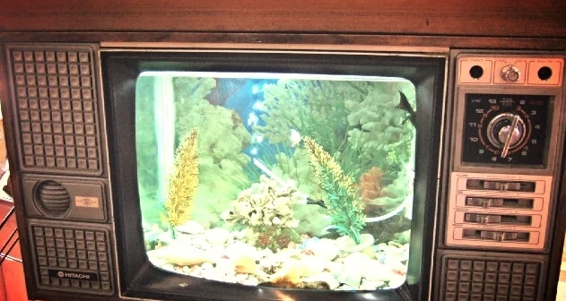 Translating in a Fishbox - A few reflections sparked by Silver &amp; Woolf&#x27;s CAQDAS Pedagogy