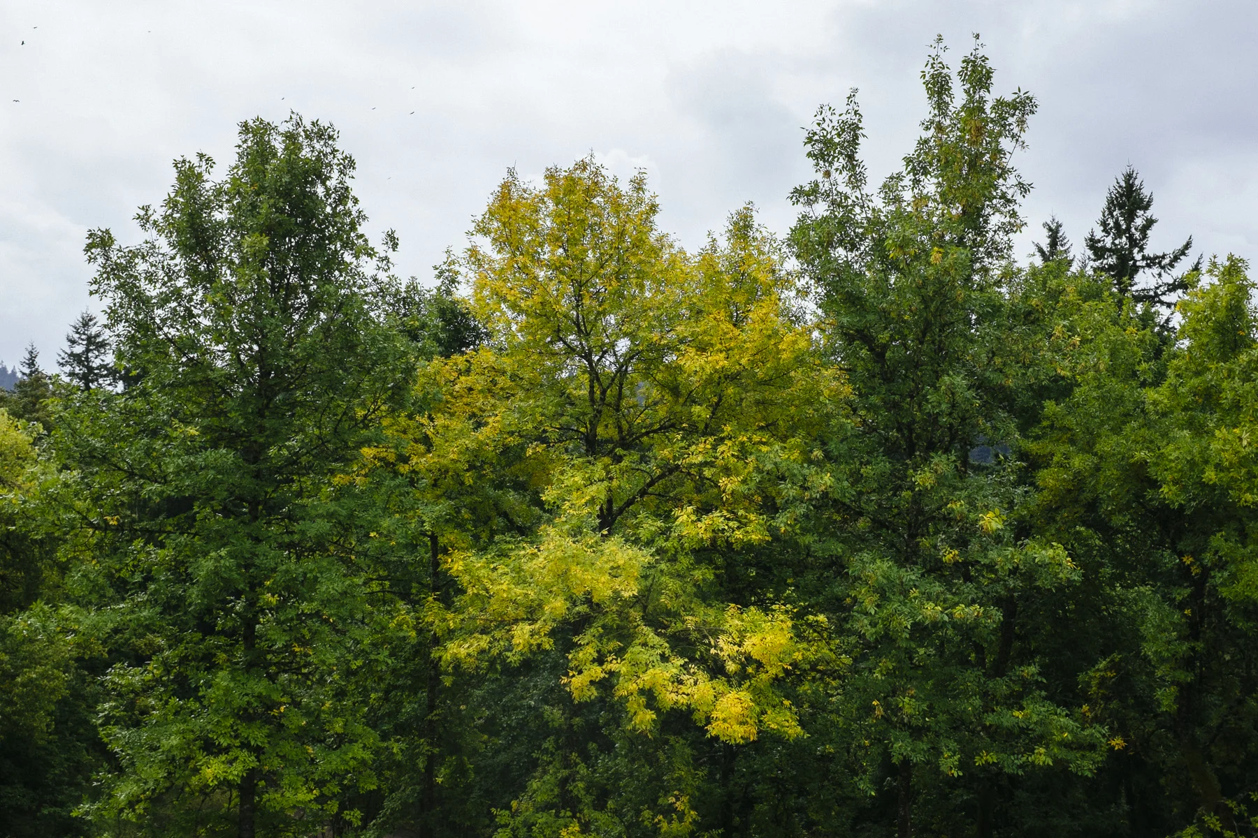 201309 Portland and NY 005.jpg
