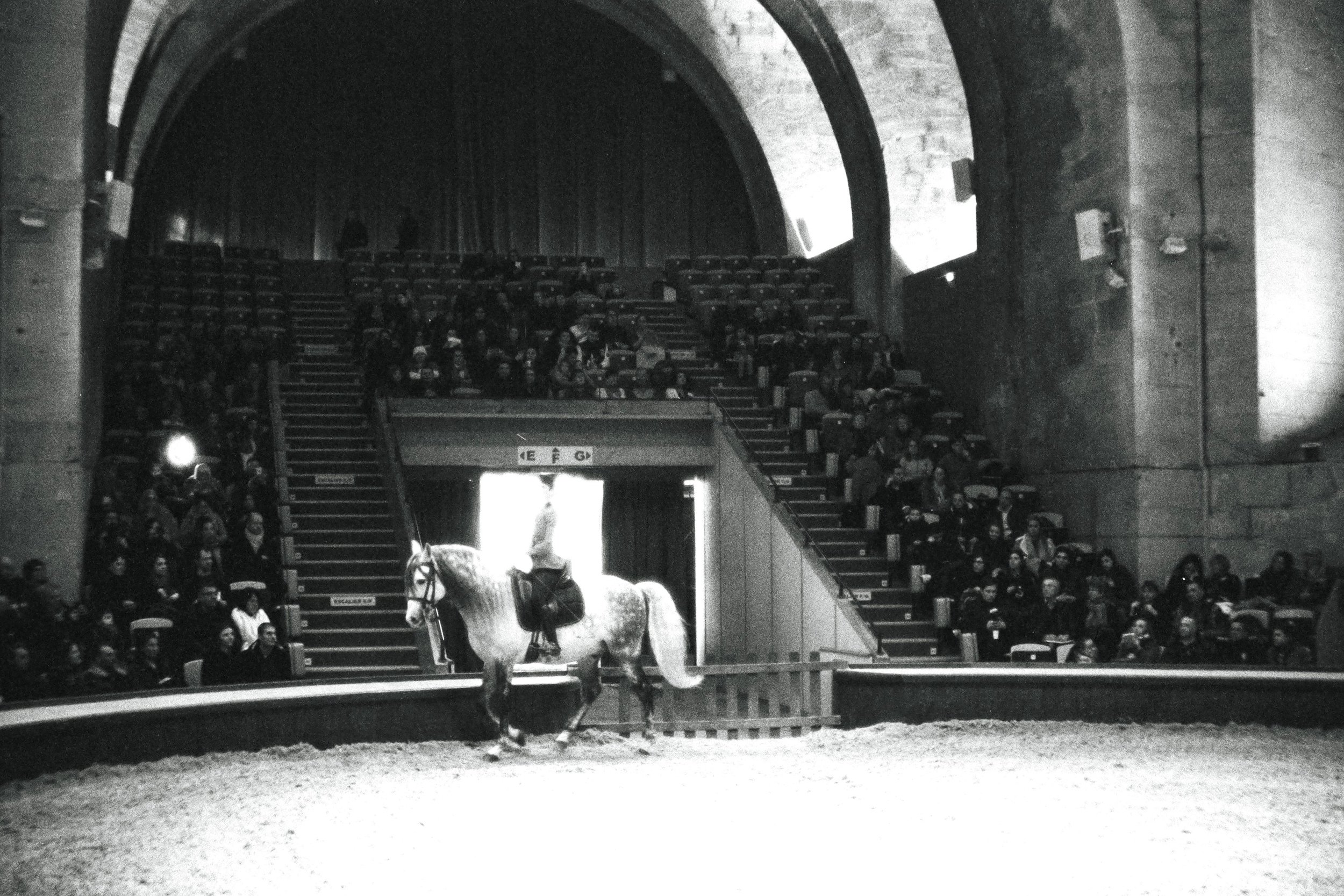 r001-023.jpg