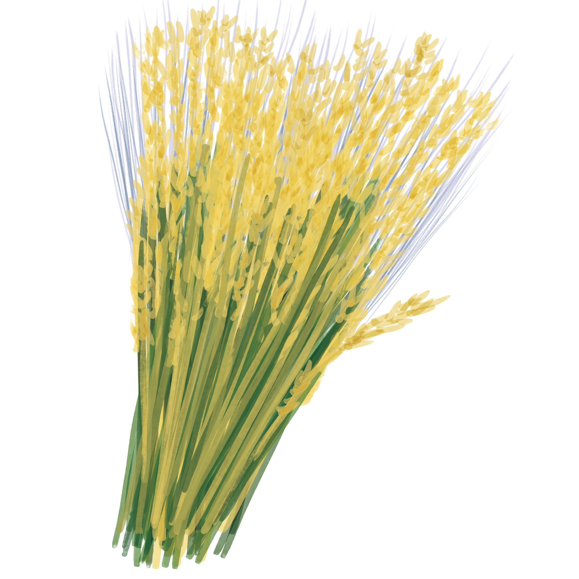 06_Virgo_v01.png