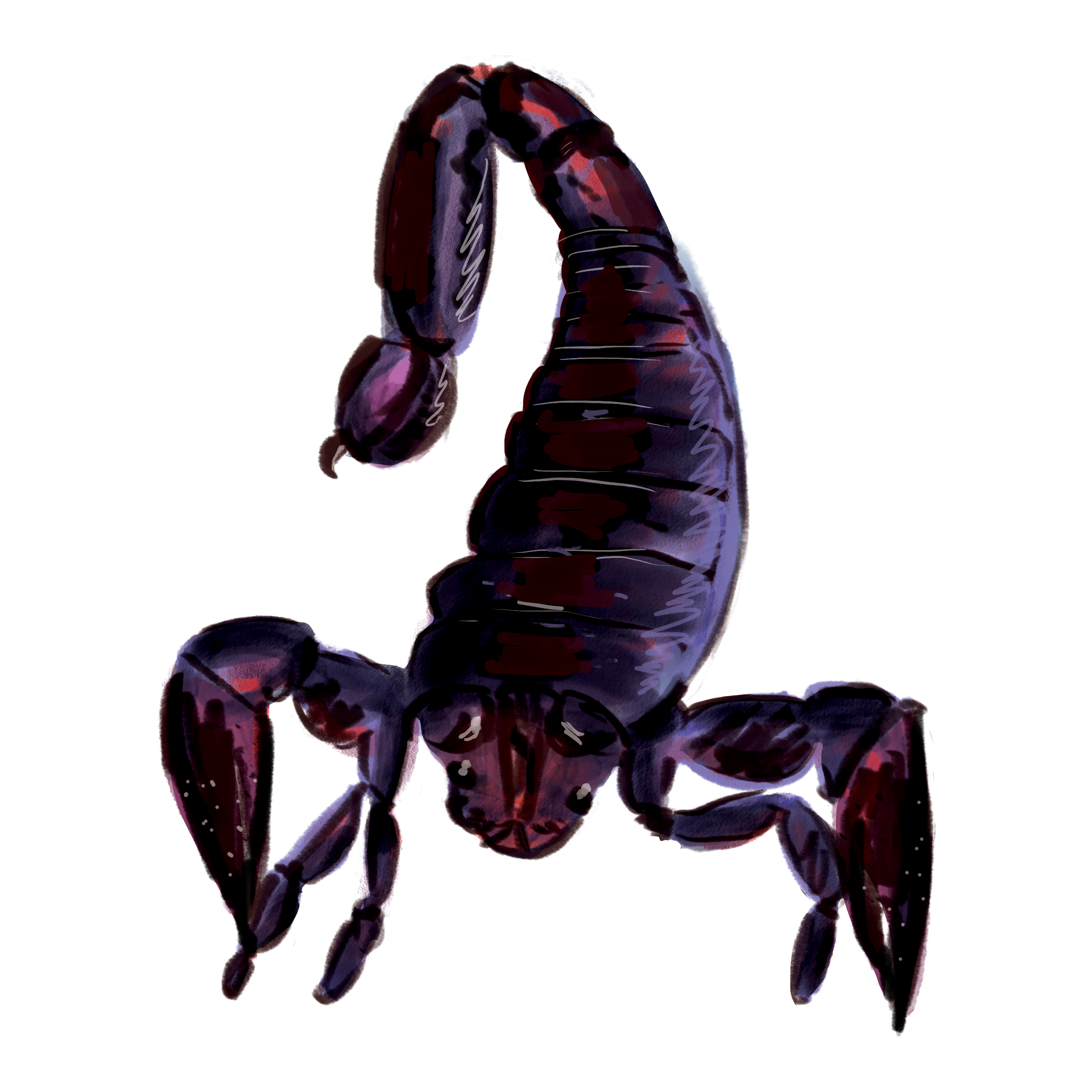 08_Scorpio_v01.png