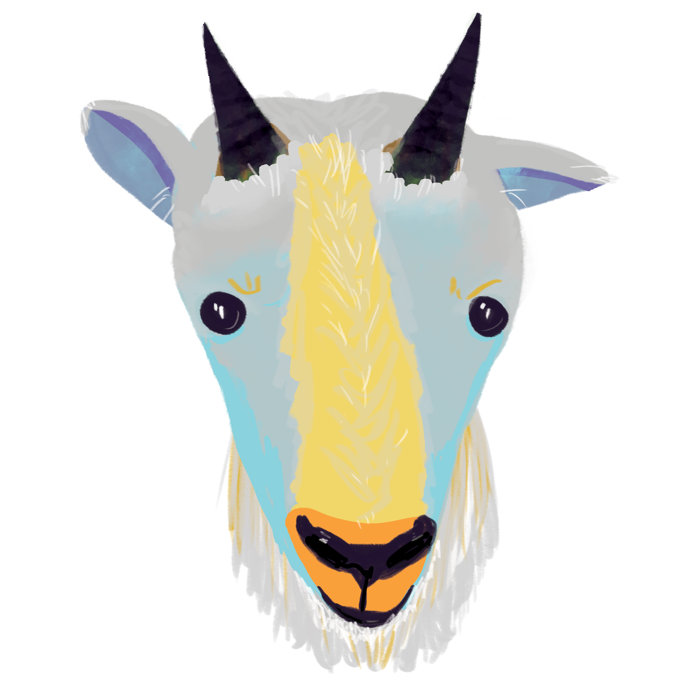 10_Capricorn_v01.png