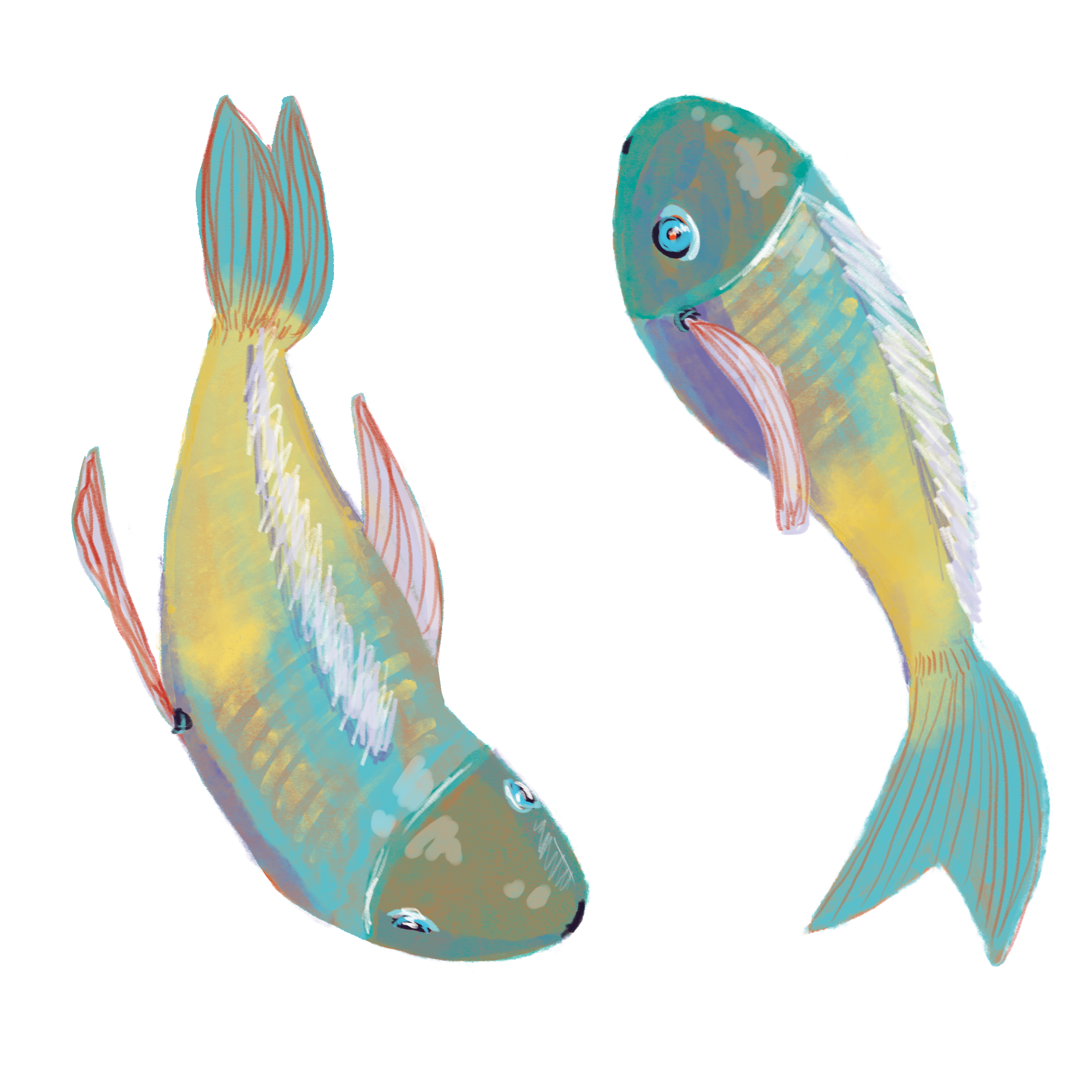 12_Pisces_v01.png