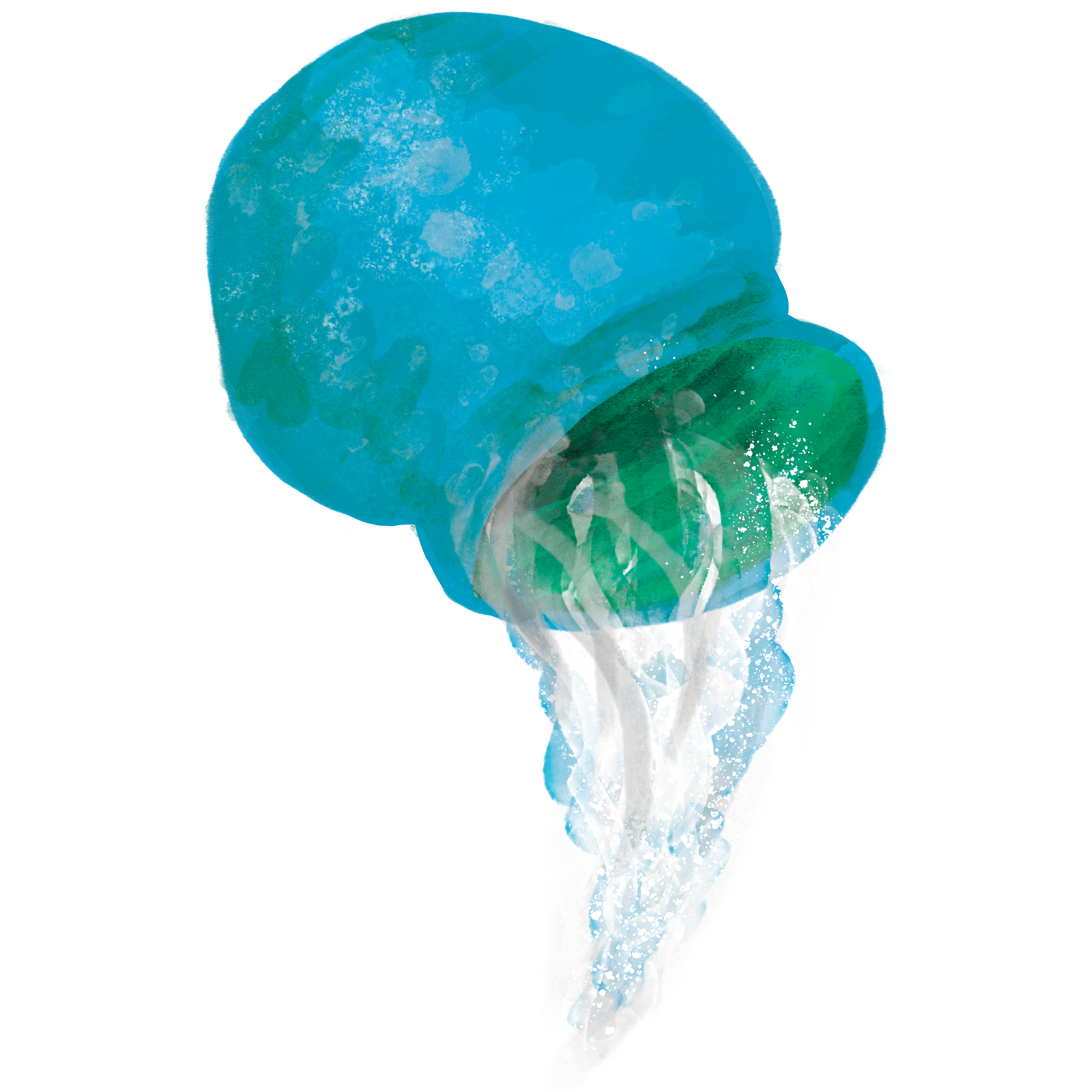 11_Aquarius_v01.png