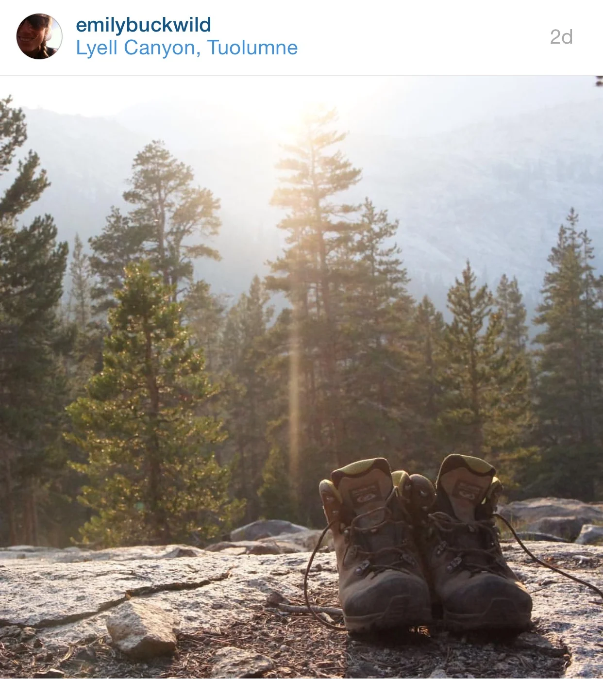 Check out Emily's Instagram Feed