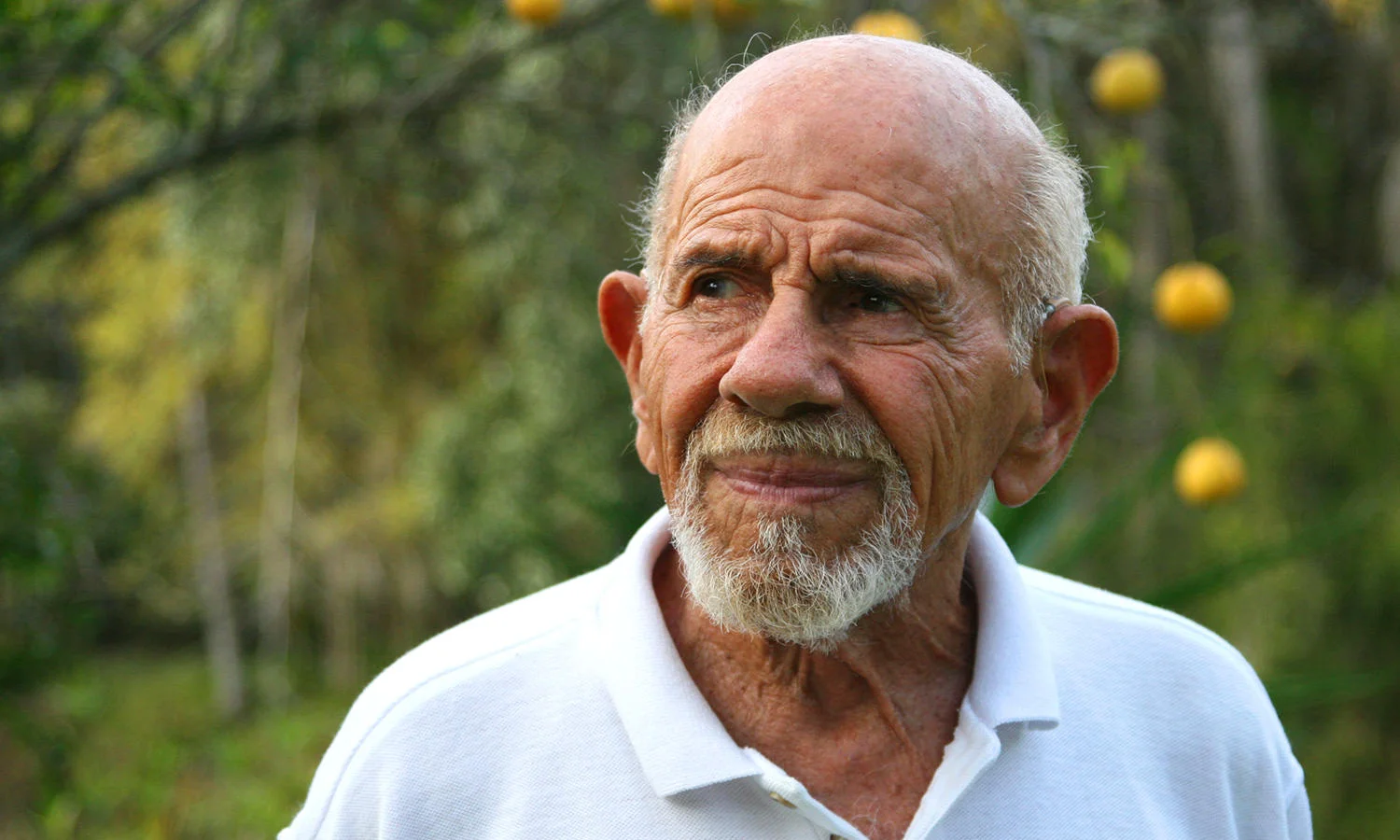 Jacque Fresco - The Venus Project REDUX