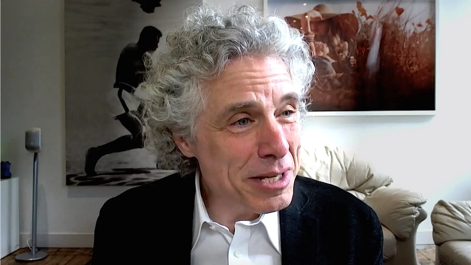 Steven Pinker - Too Much Morality? REDUX