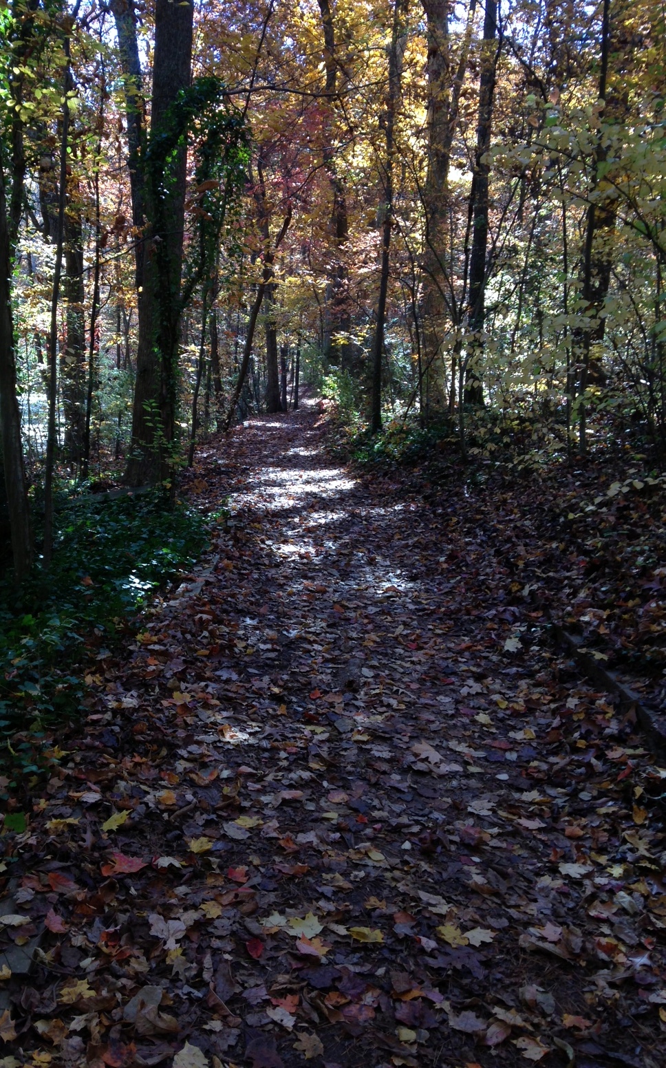 reynolda path.jpg