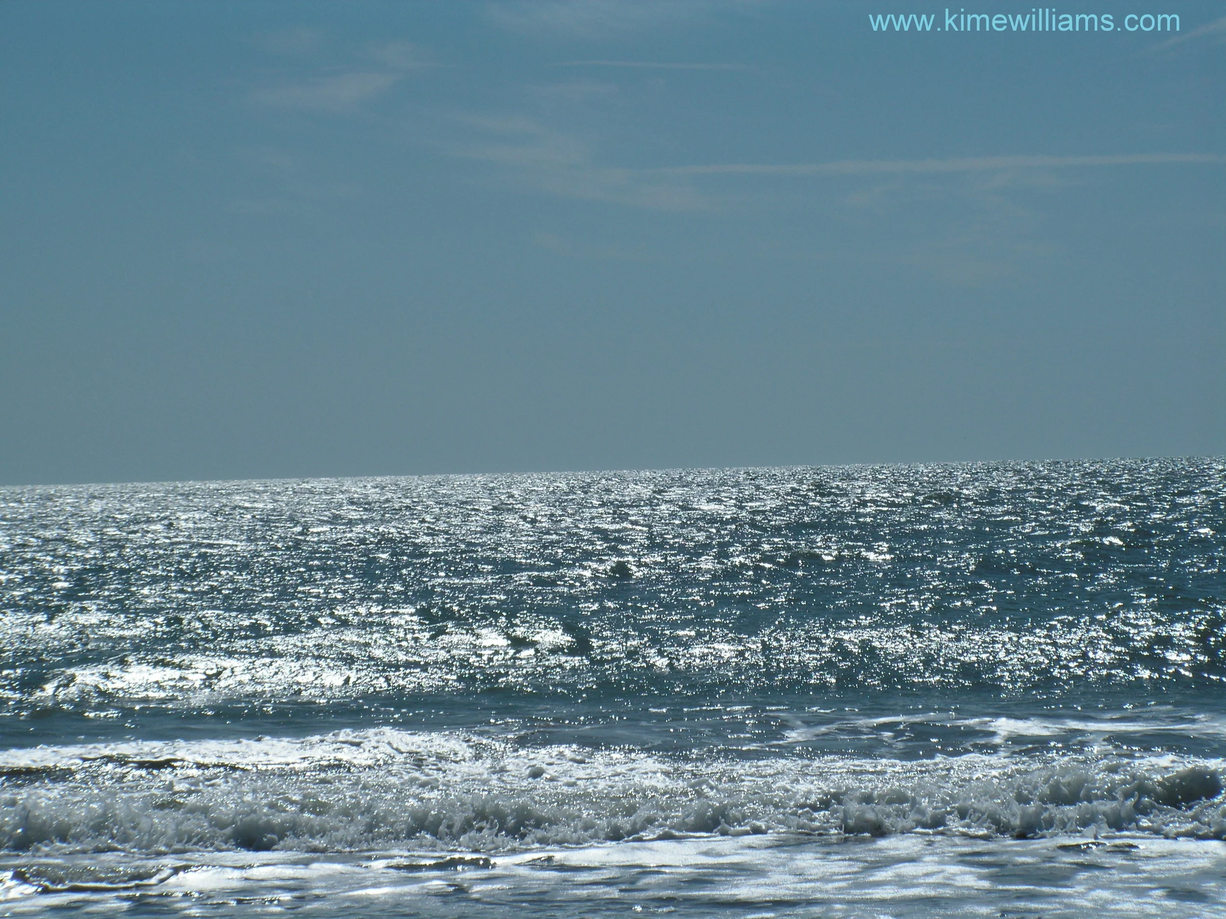 MB Ocean.jpg