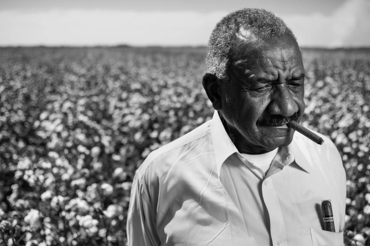 Willie by the cotton field