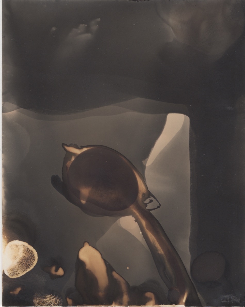 Scan 15.jpeg