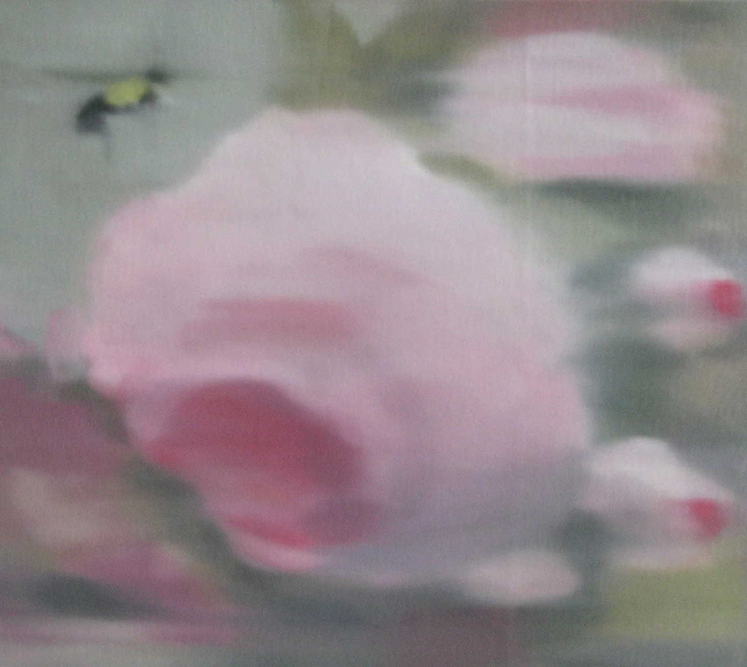 Bee Confused by Silk Roses