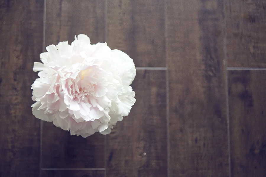 peonies0124.jpg