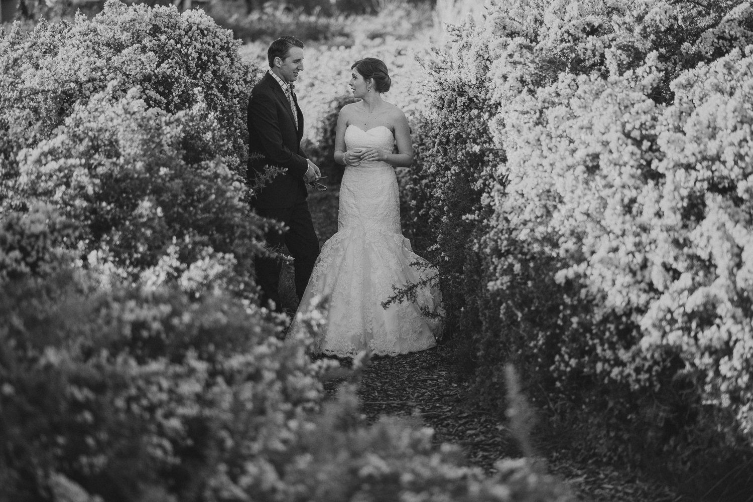 Susan&Rob-web (4 of 45).jpg