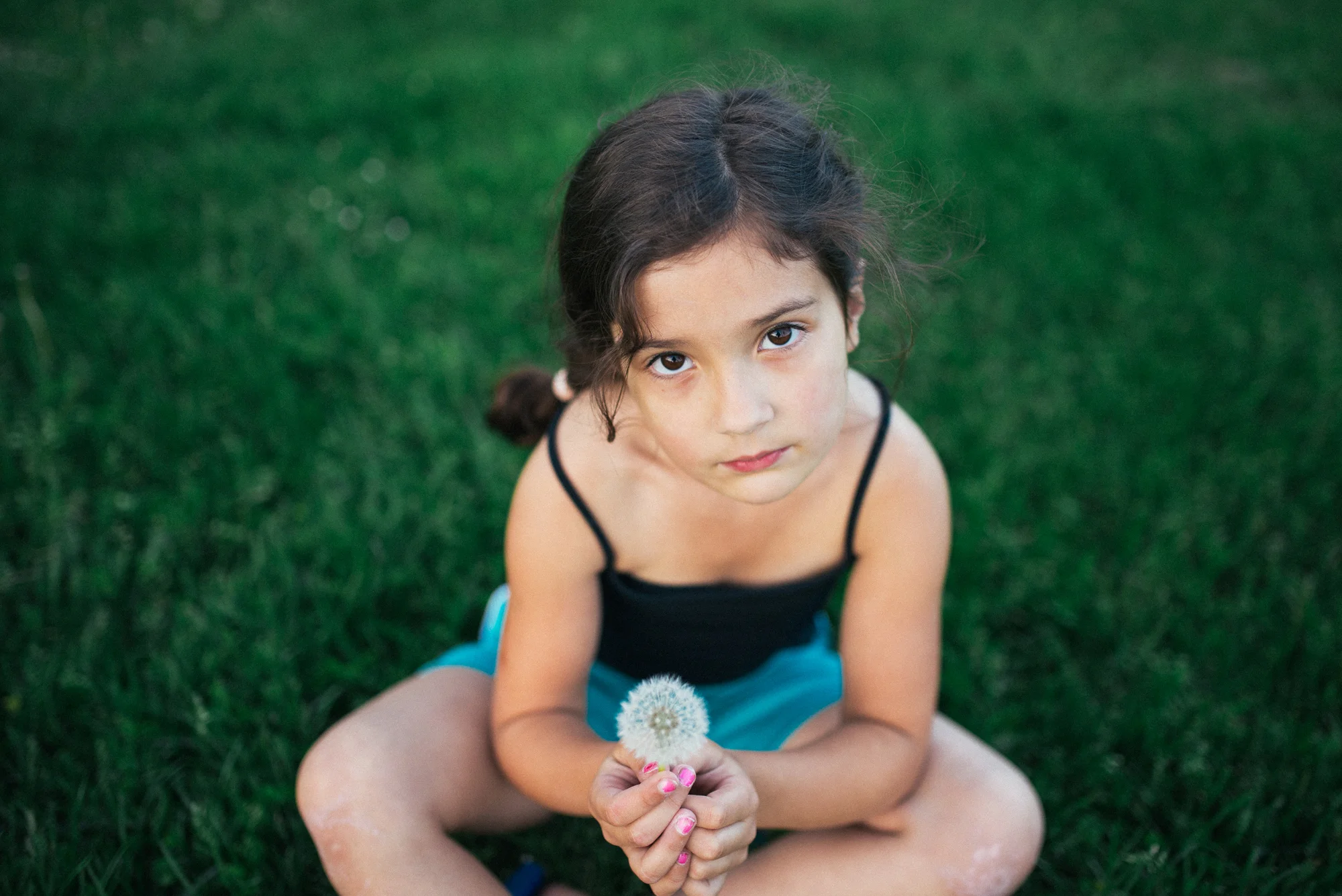 dandelions (15 of 18)_1.jpg