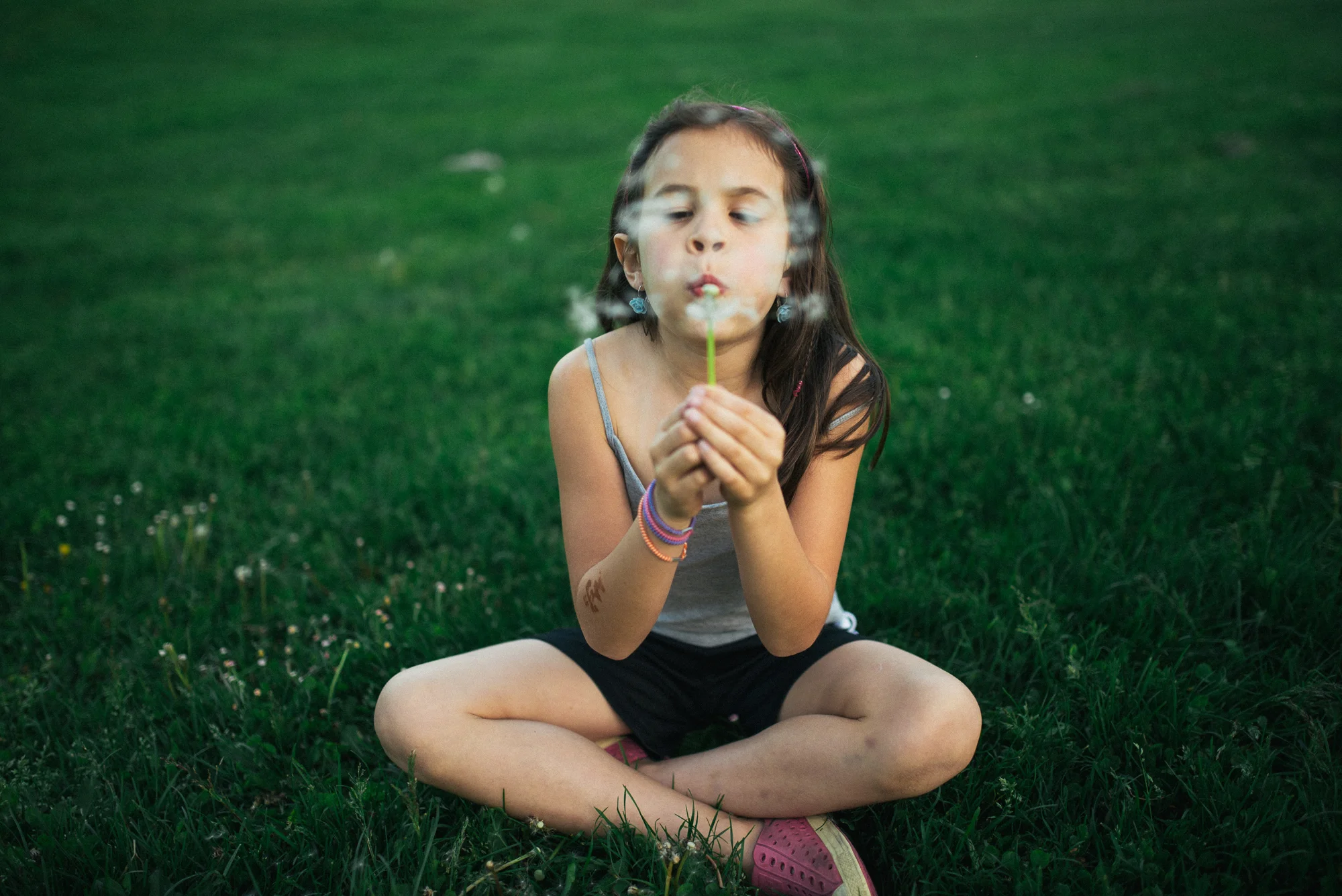dandelions (17 of 18)_1.jpg