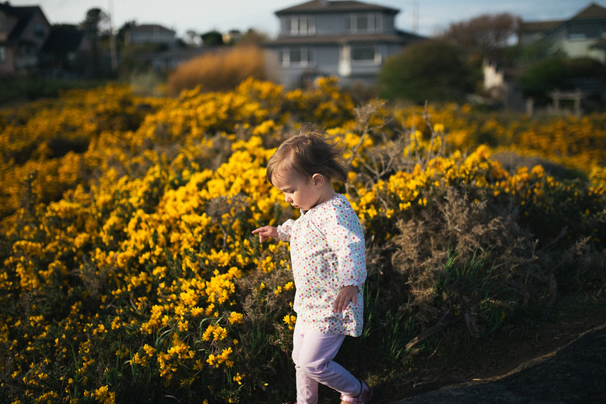 MayFlowers10.jpg