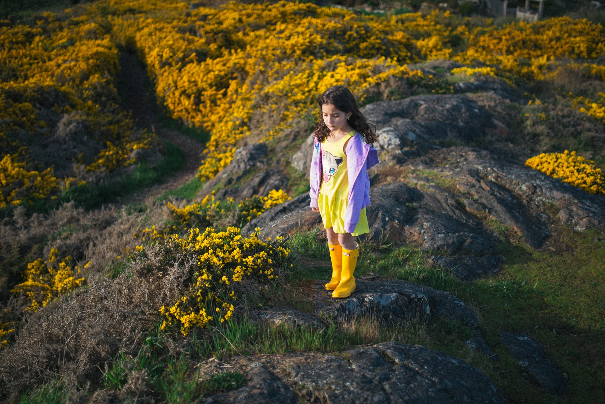 MayFlowers14.jpg