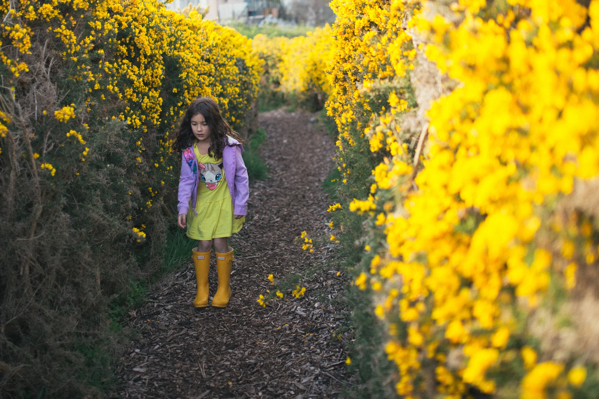 MayFlowers16.jpg