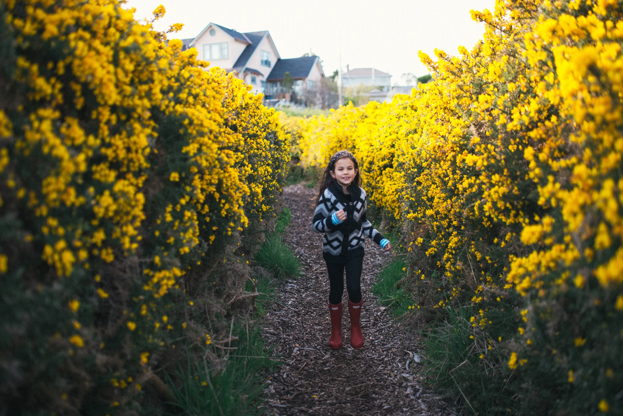 MayFlowers18.jpg