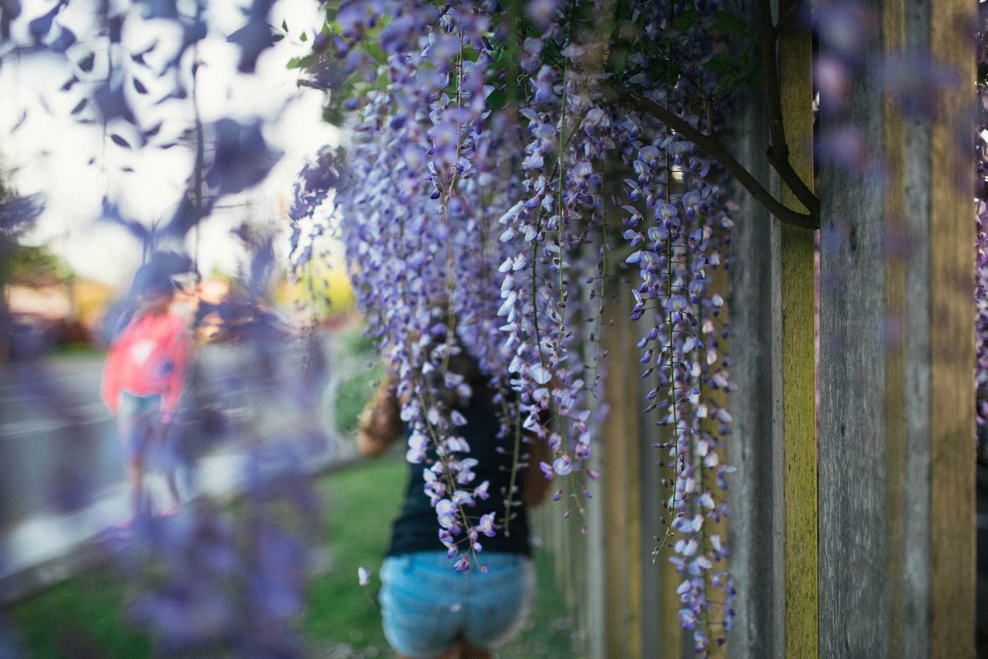 MayFlowers34.jpg