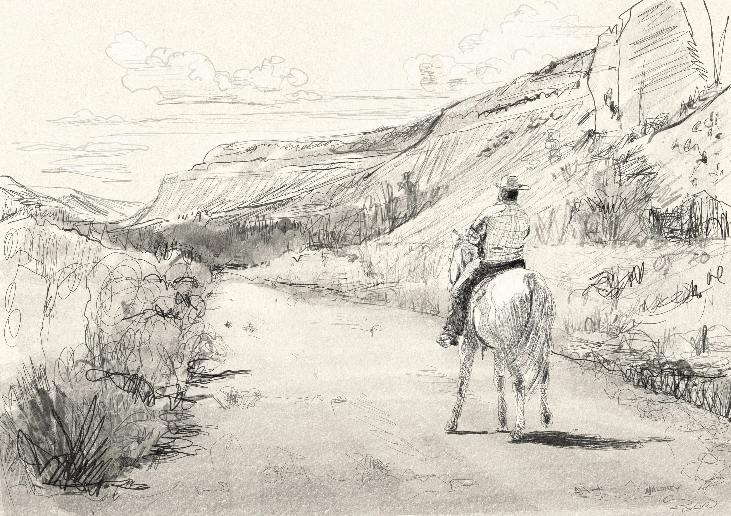 Rider on Forest Road 151