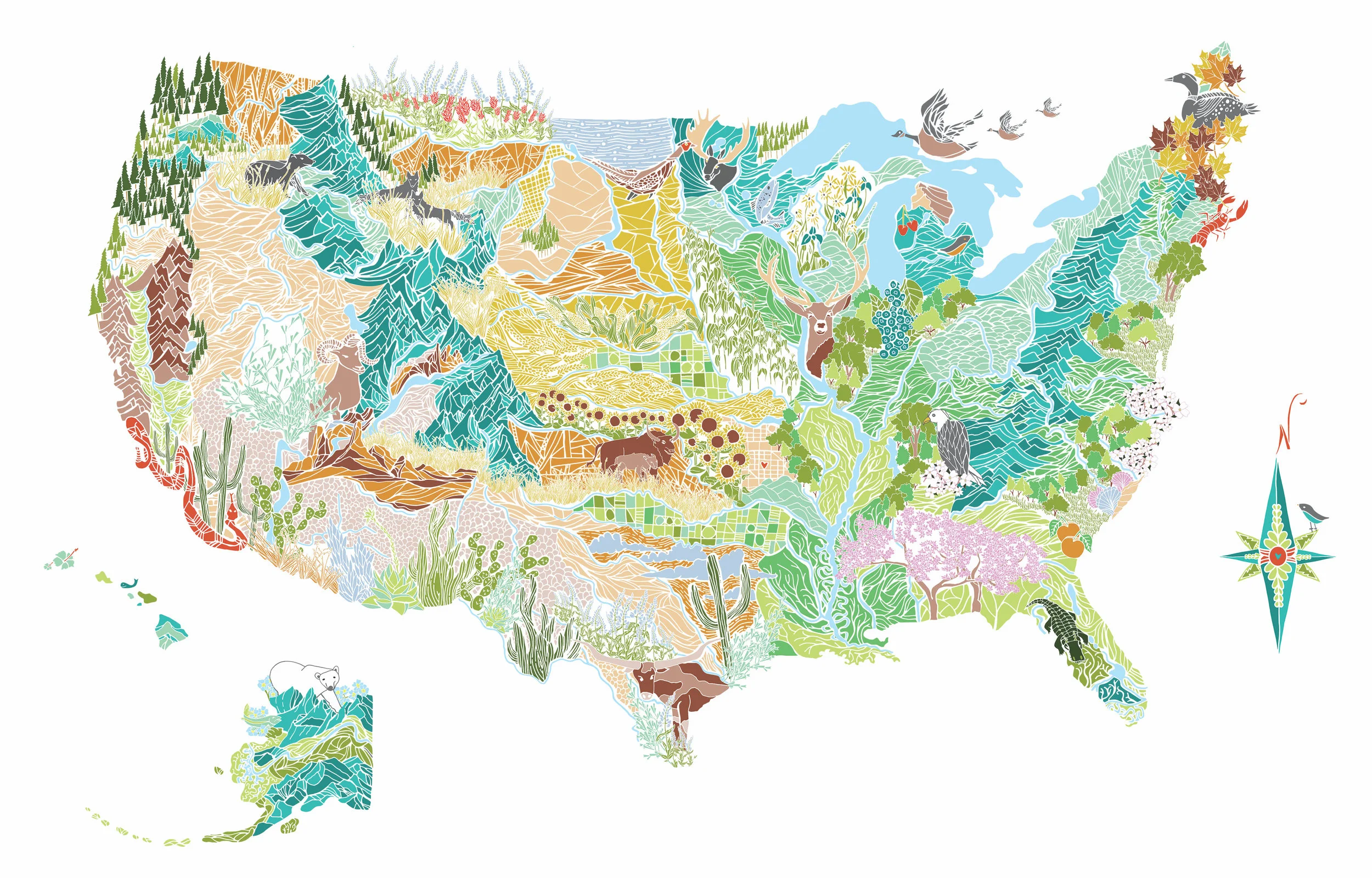 map - flora and fauna web.jpg