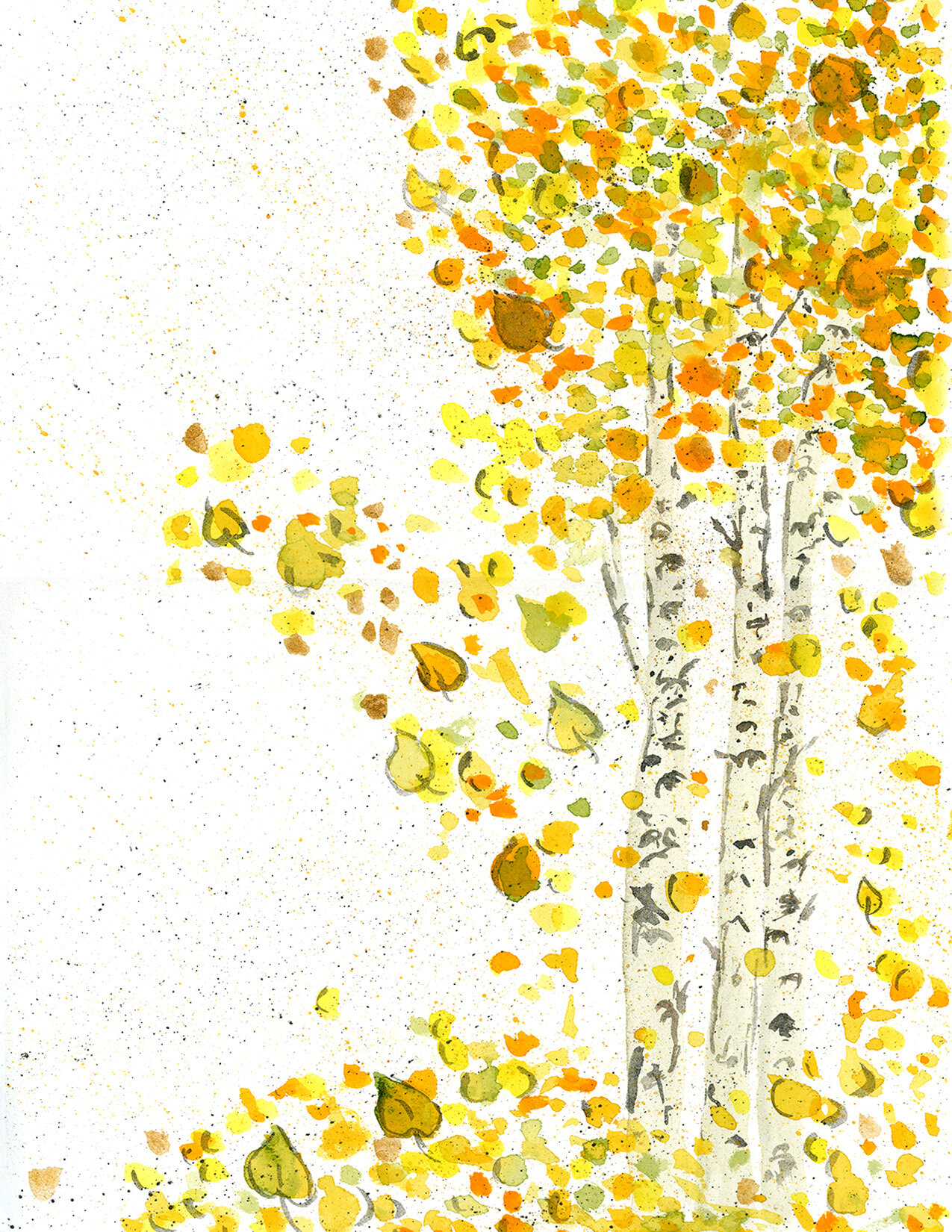 aspens