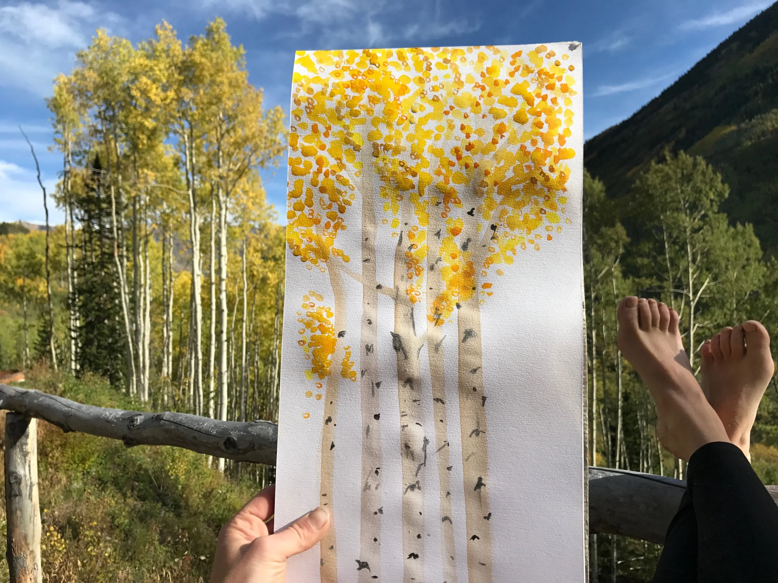 aspen trees in the making.jpg