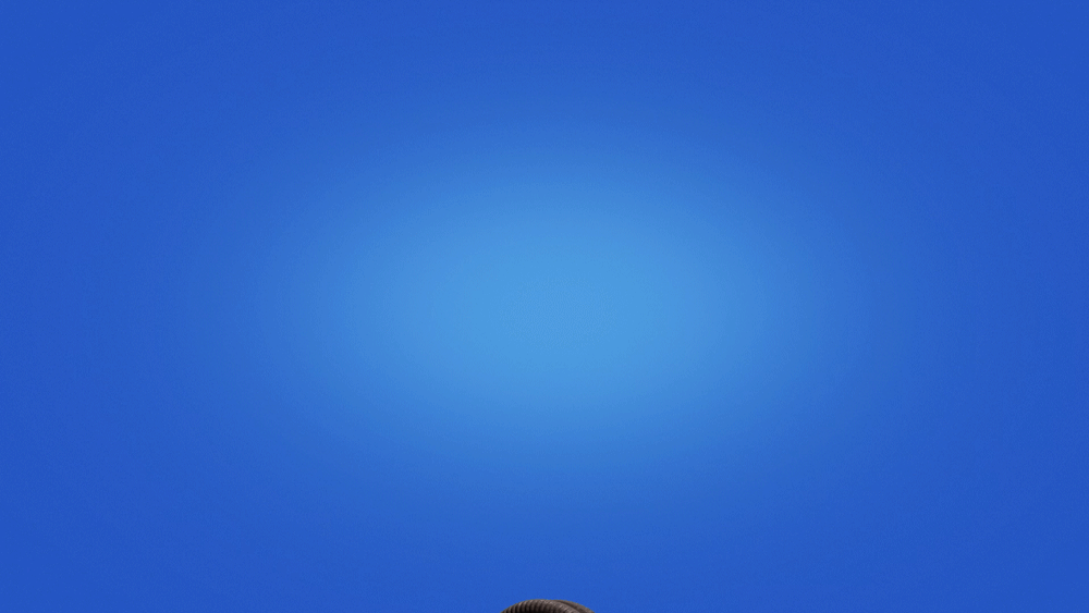 EndTagSpin.gif
